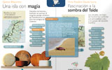PDF Interactivo Guía Repsol